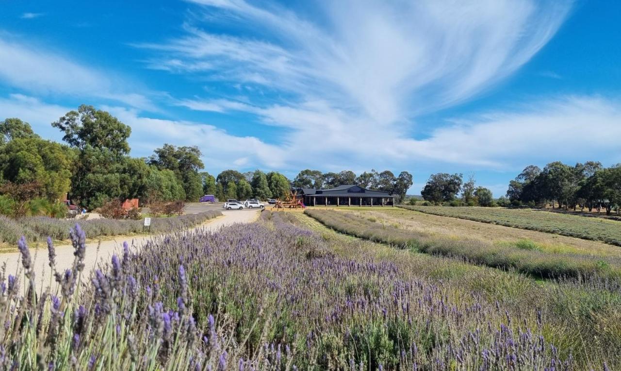 Shabby Chic Shack - 2 Bedroom Holiday home Yanchep